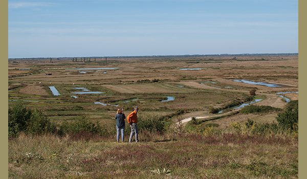 Marais de Brouage