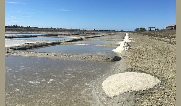 marais salant du Douhet, île d'Oléron